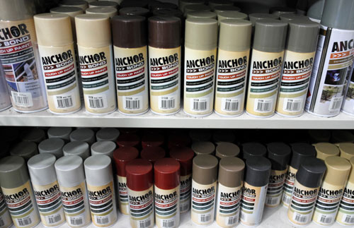 Touch Up Spray Paint